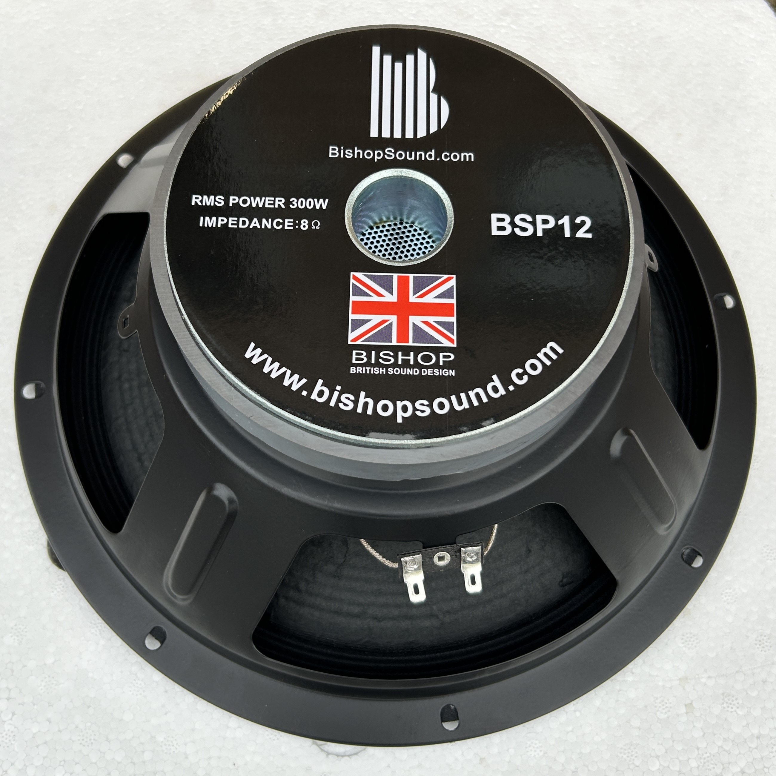 12" Speaker 300w RMS Full Range Pressed Steel LF Driver - BSP12 8 ohm (2)