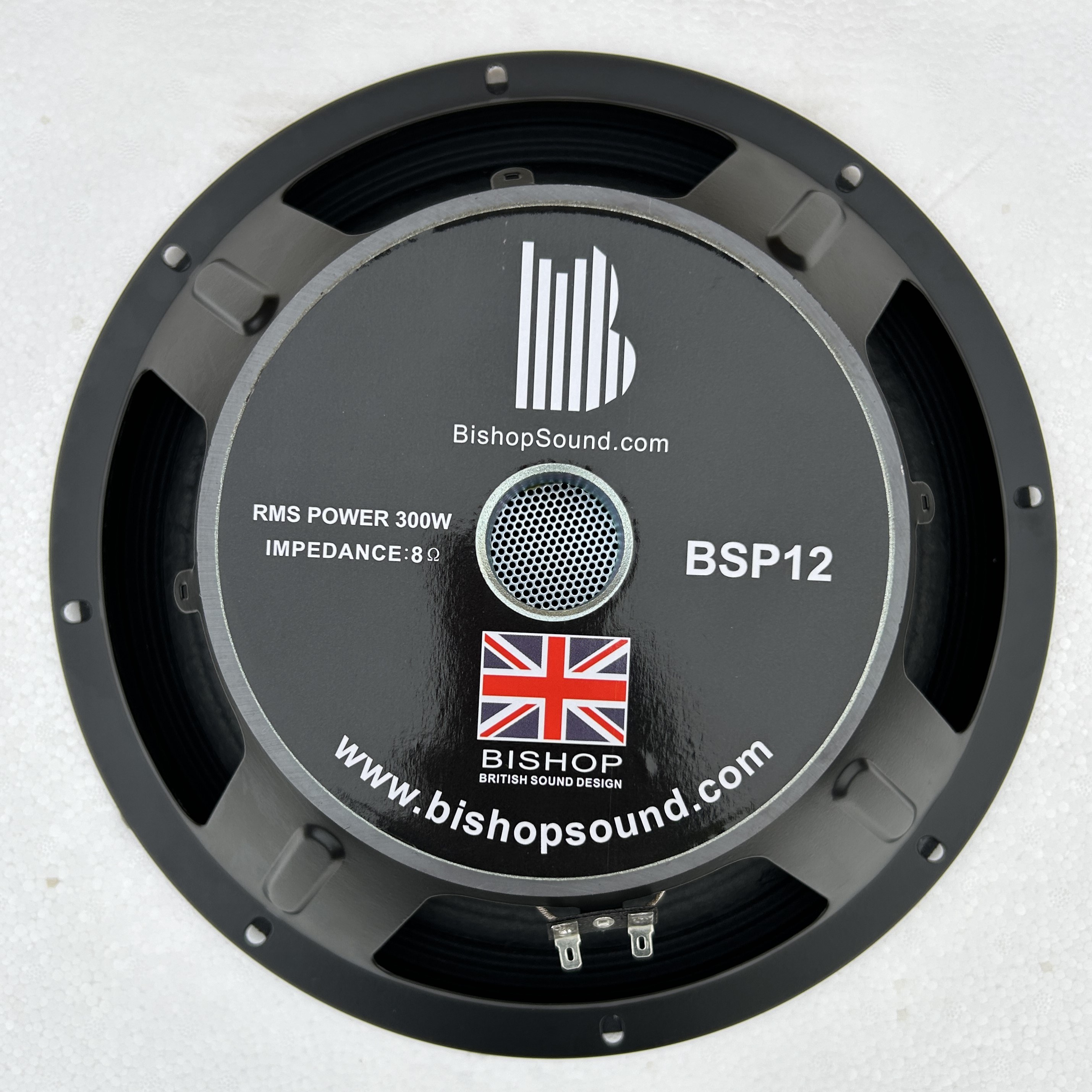 12" Speaker 300w RMS Full Range Pressed Steel LF Driver - BSP12 8 ohm (1)