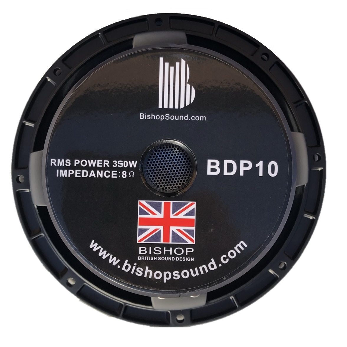 Image of a Bishopsound BDP10 LF speaker